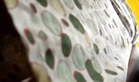 Lớn tuổi ở giữa có một bữa tiệc bất sex hàn quốc mới nhất