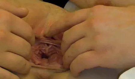 Donna Marie kịch trong dầu với cô sex nhật mới nhất 2019 ấy dildo