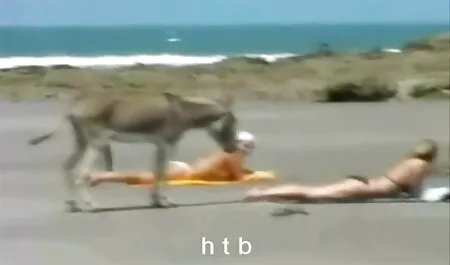 Cô phim sex nhat ban khong che moi nhat gái là lớn