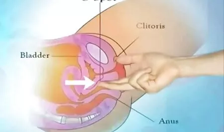 Bác sĩ, Akira Chân phimsex mới nhat